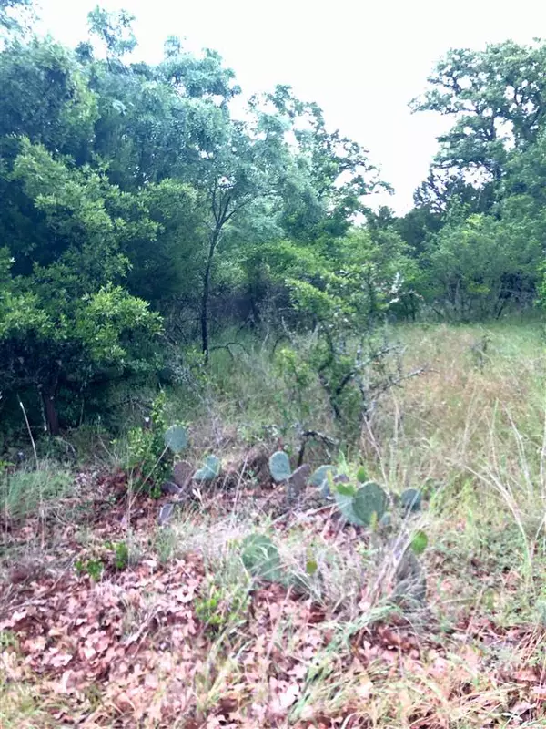 Kingsland, TX 78639,Lot 219 Western Dr