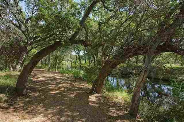 Horseshoe Bay, TX 78657,Lot 81 Trails Pkwy