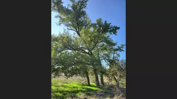 Spicewood, TX 78669,Lot 105 Lazy Oak Pl PL