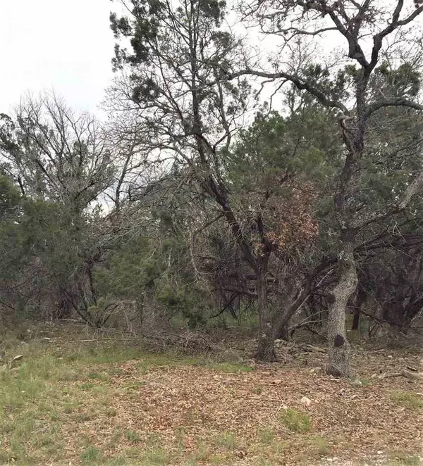 Horseshoe Bay, TX 78657,K4102 Needles Eye