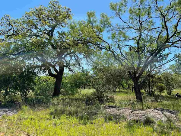 Spicewood, TX 78669,117 Creekside Trl