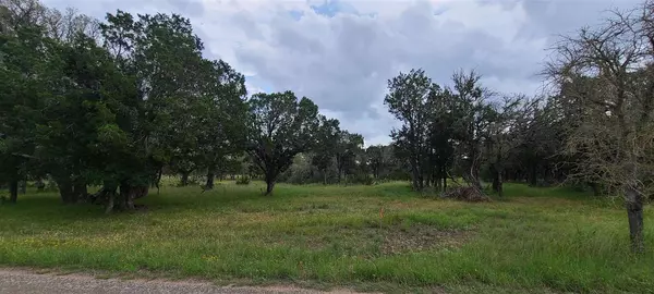 Burnet, TX 78611,Lot 162 County Road 100