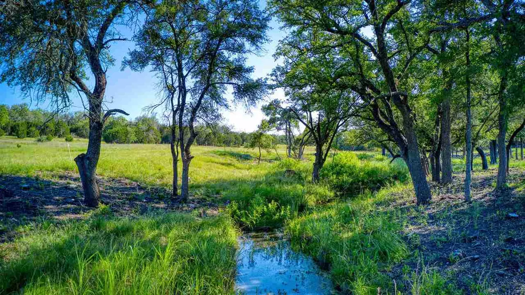 Lot 1 PH 2 CR 224, Briggs, TX 78608-0000