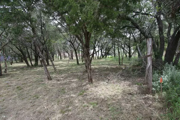 Cottonwood Shores, TX 78657,Lot 665 Maple Lane