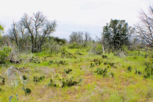 Burnet, TX 78611,Lot 380-381 Eagle LN
