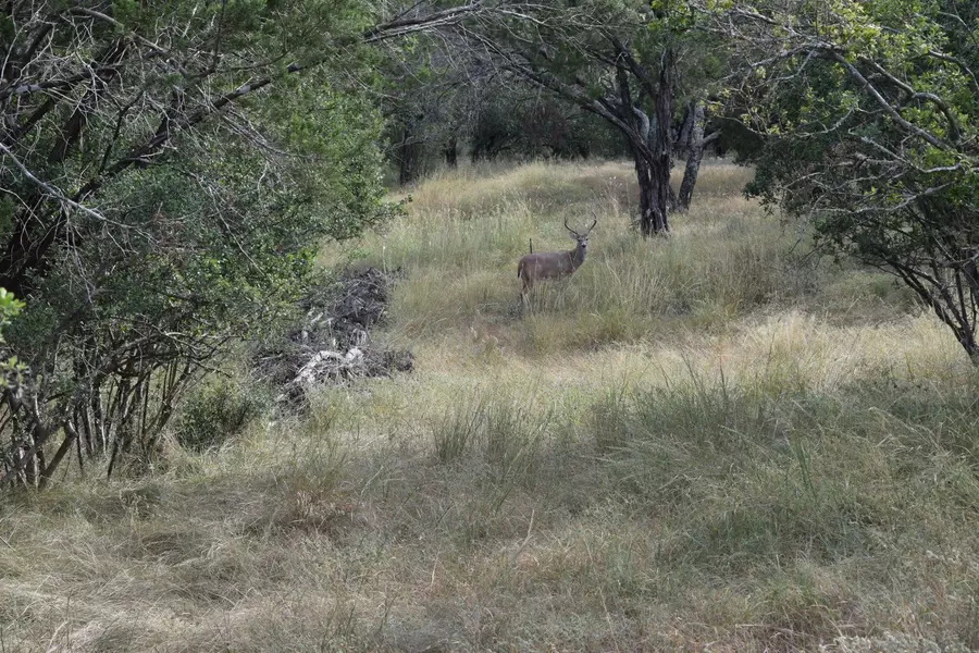 Lot 100 Fawn Ridge Road, Horseshoe Bay, TX 78657