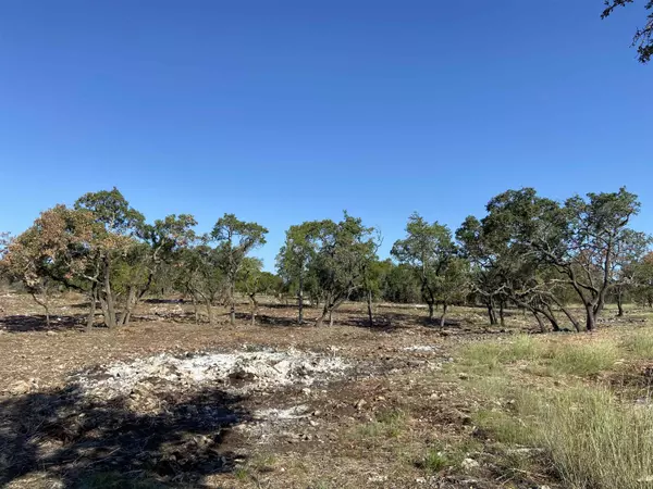 Burnet, TX 78611,TBD Lot 168 Wandering Oaks