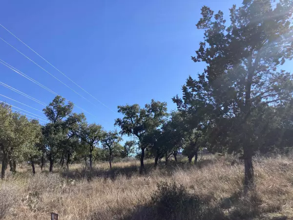 Cottonwood Shores, TX 78657,Lot 34 Prince Peak