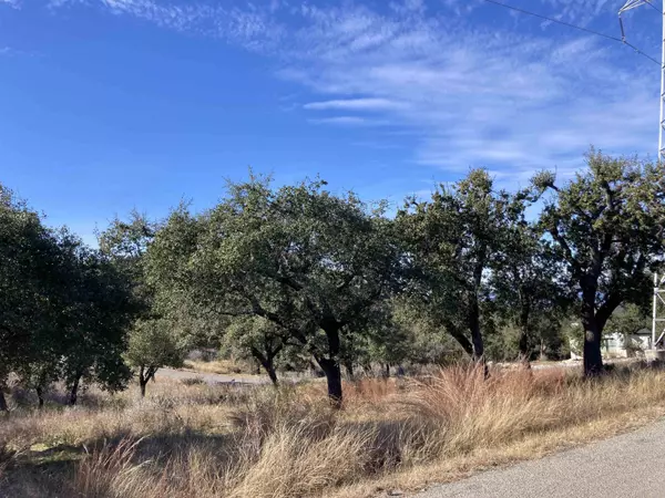 Cottonwood Shores, TX 78657,Lot 34 Prince Peak