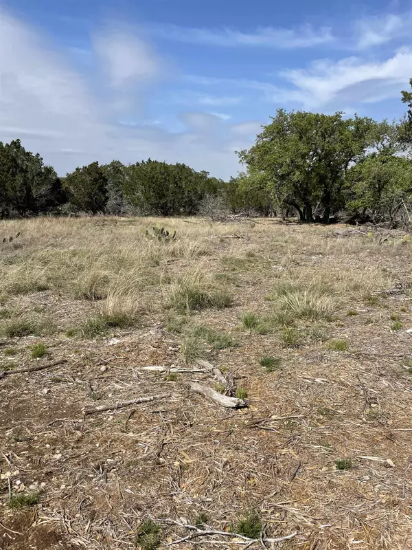 Burnet, TX 78611,Lot 161/164 Wandering Oaks Circle