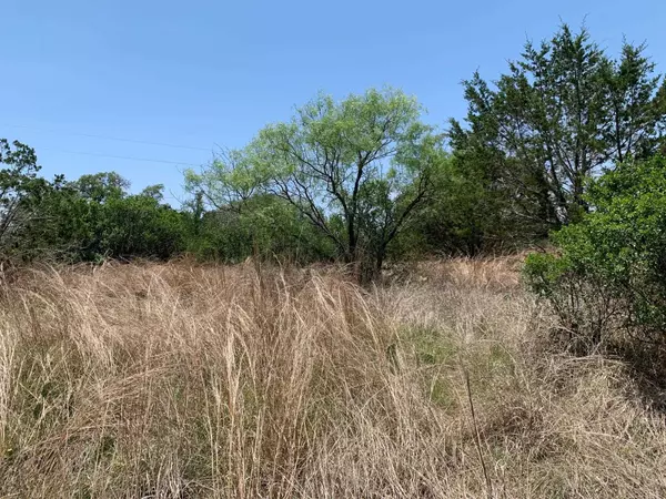 K10153 Horned Toad, Horseshoe Bay, TX 78657