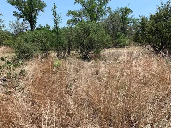 Horseshoe Bay, TX 78657,K10153 Horned Toad