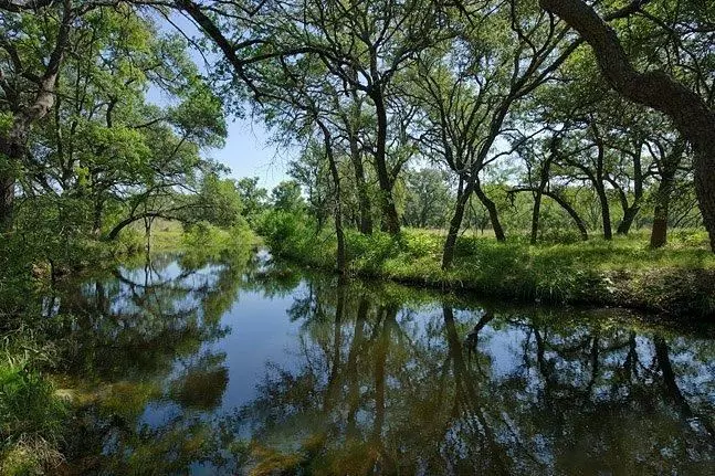 Lot 69 Trails Parkway (Creekside), Horseshoe Bay, TX 78657