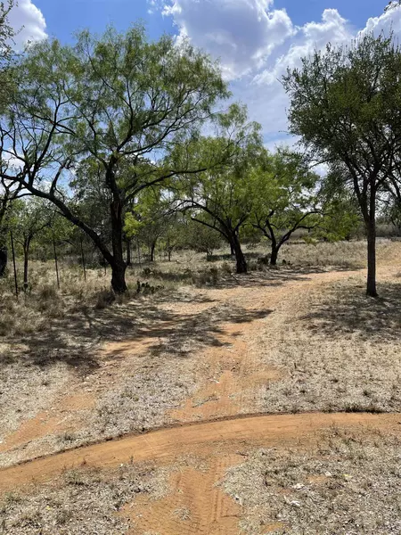 195 County Road 117, Llano, TX 78643