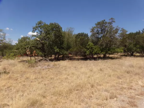 Cottonwood Shores, TX 78657-9441,lot 141 PINE