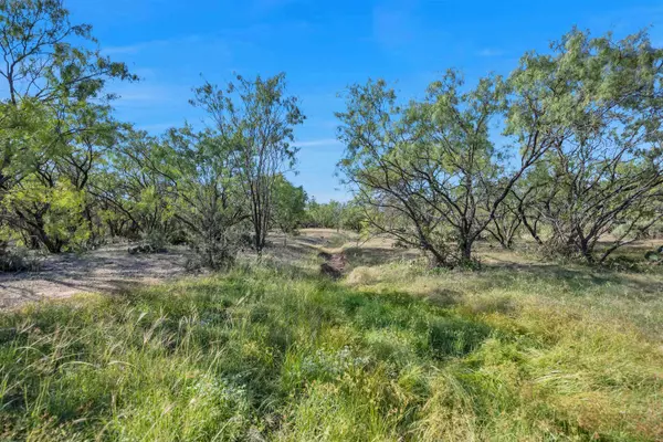 Burnet, TX 78611,TBD CR 119 - West Tract