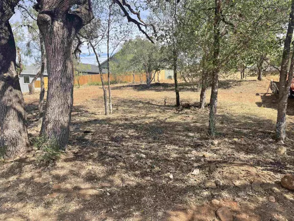 Cottonwood Shores, TX 78657,TBD Lot 18 Birch LN