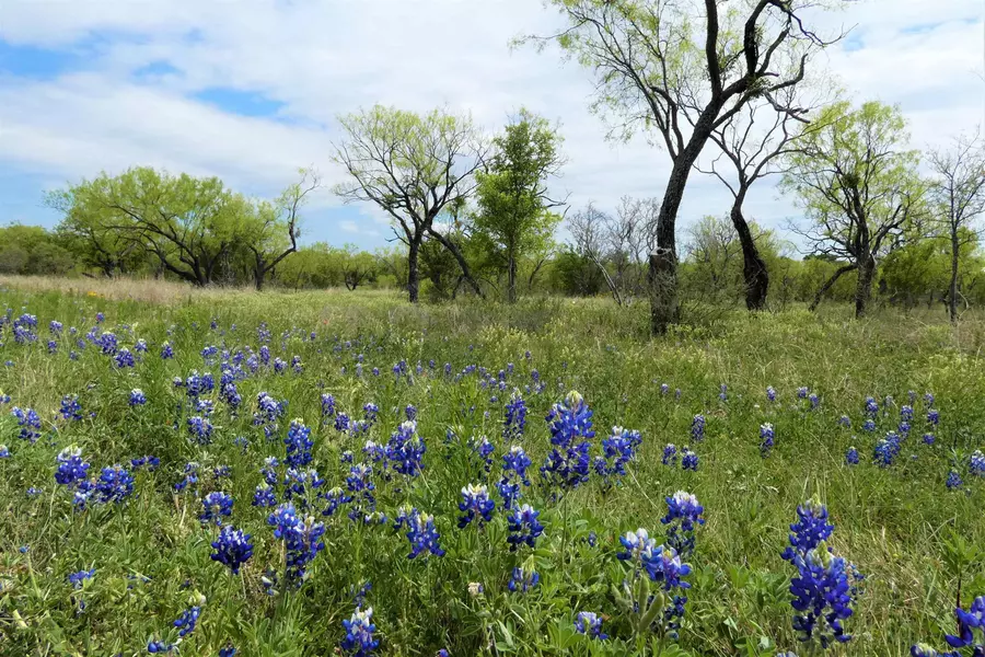 TBD Thurman Loop/Rio Llano West, Llano, TX 78643