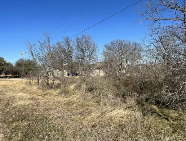 Kingsland, TX 78639,Lot 179 Skyline DR