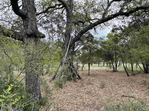 Cottonwood Shores, TX 78657,Lot 308 Cypress LN