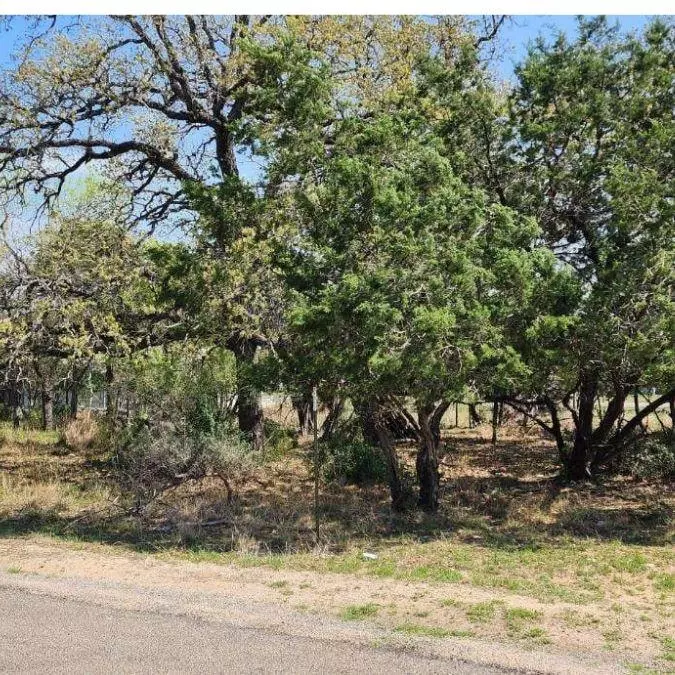 Cottonwood Shores, TX 78657,Lot 308 Cypress LN