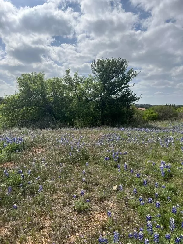 Horseshoe Bay, TX 78657,Escondido Lot C-60 La Serena LOOP