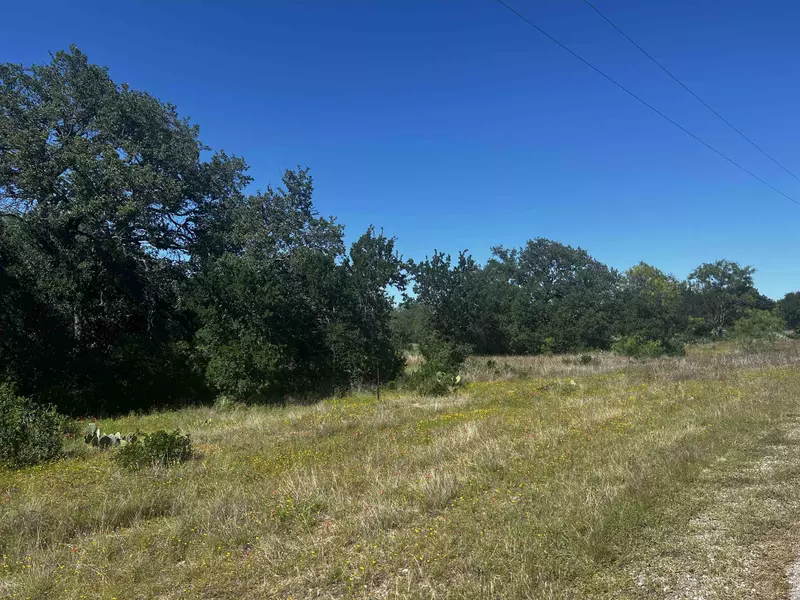 Lot 24 Lehne Loop, Buchanan Dam, TX 78609