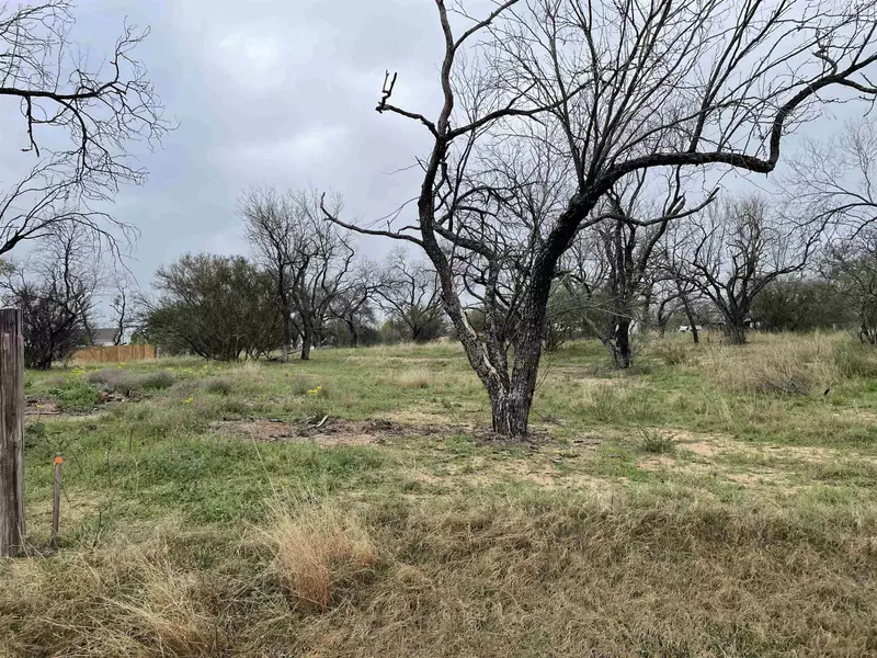 TBD Lot 3A Airway ST, Kingsland, TX 78639