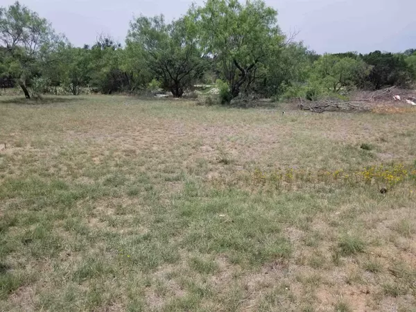 Kingsland, TX 78639,TBD Oleander ST