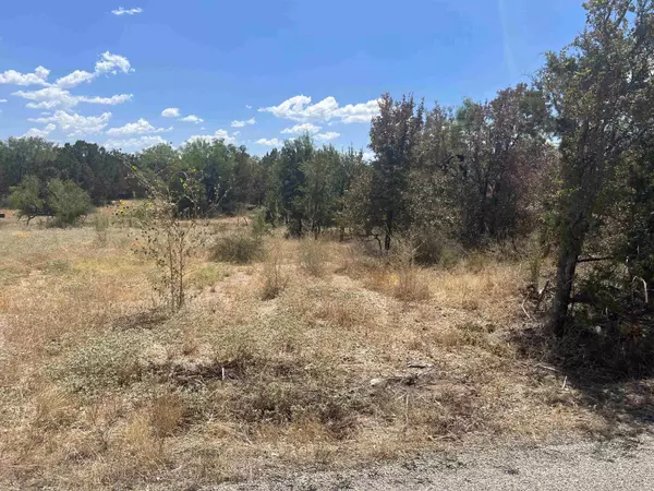 Granite Shoals, TX 78654,Lot 413 Southwood Dr