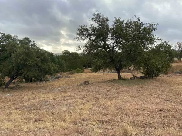 Horseshoe Bay, TX 78657,W2009 Cat Canyon