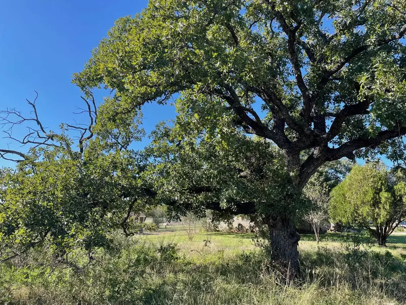 1933 Forest Trail, Kingsland, TX 78639