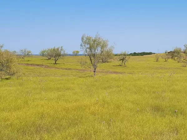 Burnet, TX 78611,Tract 1 CR 207