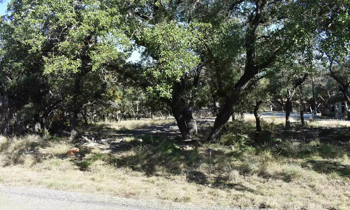 Horseshoe Bay, TX 78657,TBD Lot 169 Mountain Drive