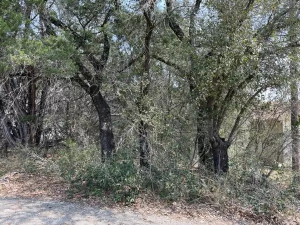 Spicewood, TX 78669-0123,Lot 311 Rolling Hills DR