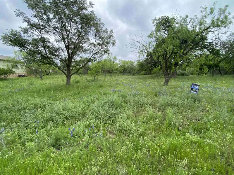 Lot  398 E. Mesquite DR, Granite Shoals, TX 78654