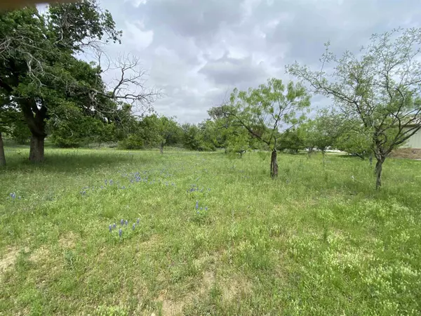 Granite Shoals, TX 78654,Lot  398 E. Mesquite DR