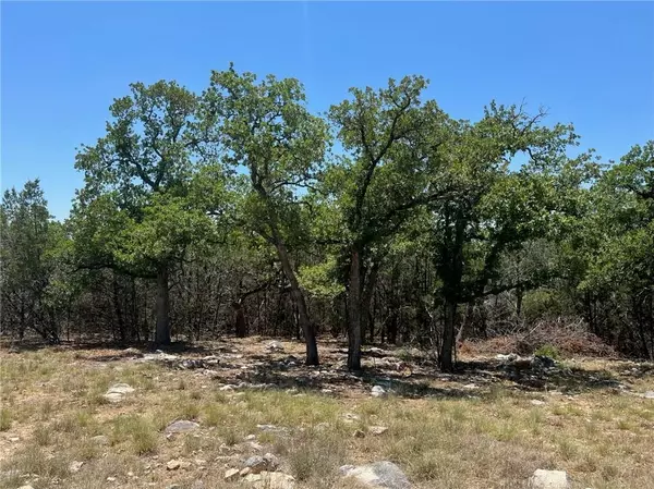 Round Mountain, TX 78663,349 Lilly LN