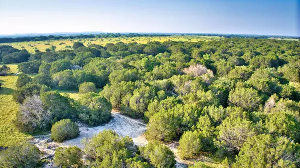 Lometa, TX 76853-0000,204 Acres Hwy 190