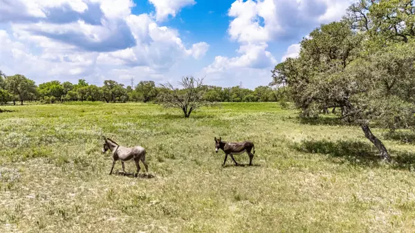 Yoakum, TX 77995,16552 FM 682