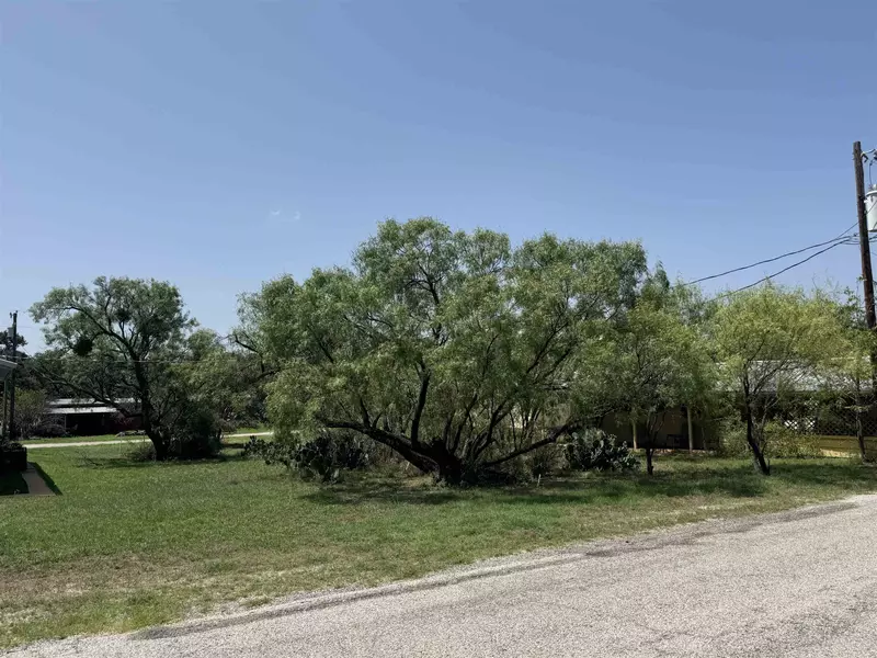 TBD Cozy LN, Tow, TX 78672