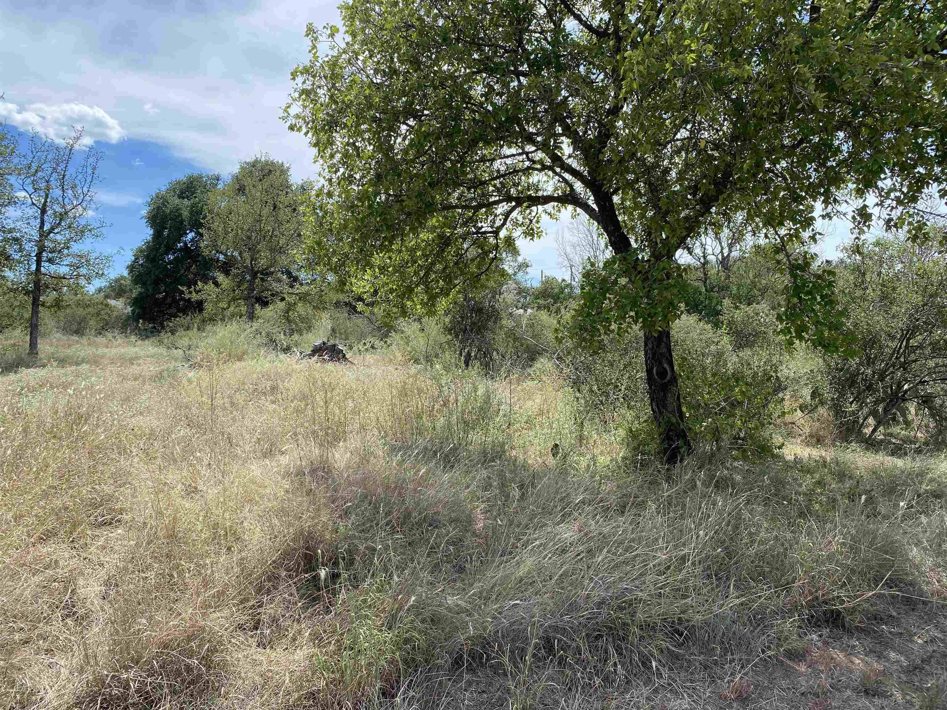 TBD Hickory,  Granite Shoals,  TX 78654