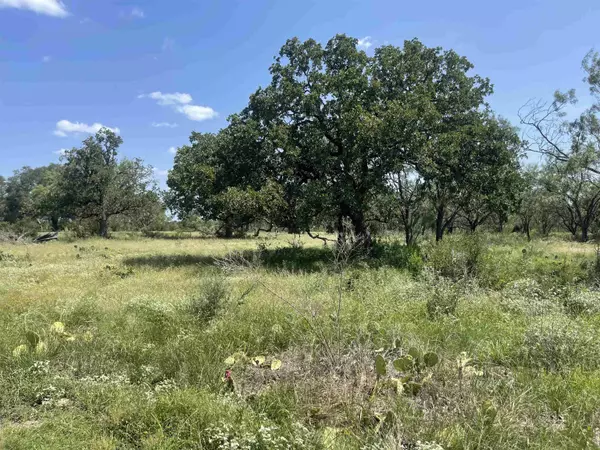 Marble Falls, TX 78654,TBD Farm to Market Rd 10.68