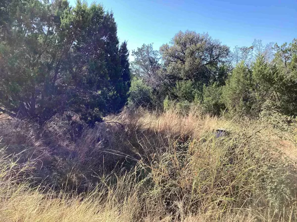 Horseshoe Bay, TX 78657,Lot 39001 Mountain Dew