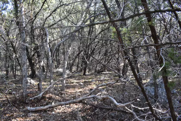 Horseshoe Bay, TX 78657,TBD Saddle Back RD