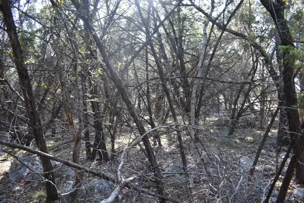 Horseshoe Bay, TX 78657,TBD Saddle Back RD