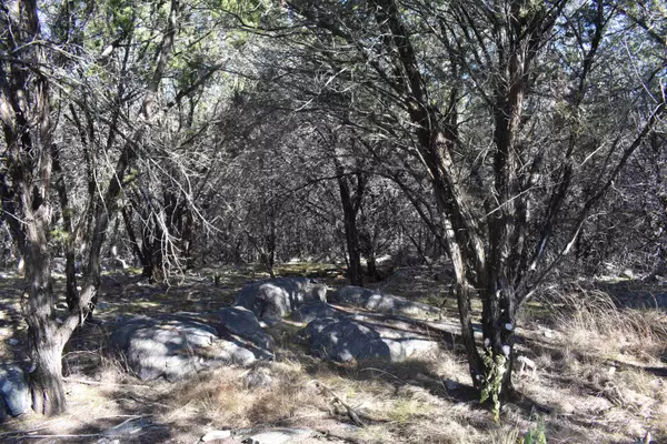 Horseshoe Bay, TX 78657,TBD Saddle Back RD