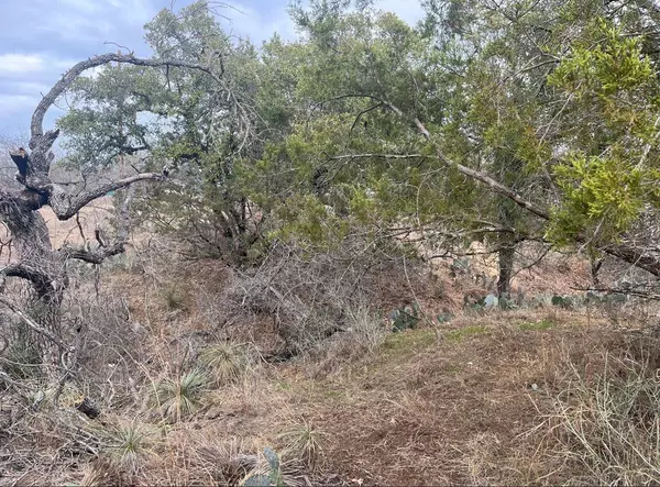 Granite Shoals, TX 78654,Lot 261 W Briarway DR