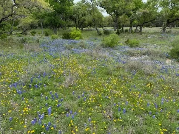 Horseshoe Bay, TX 78654-0000,Lot 13 & 14 Twisted Oak