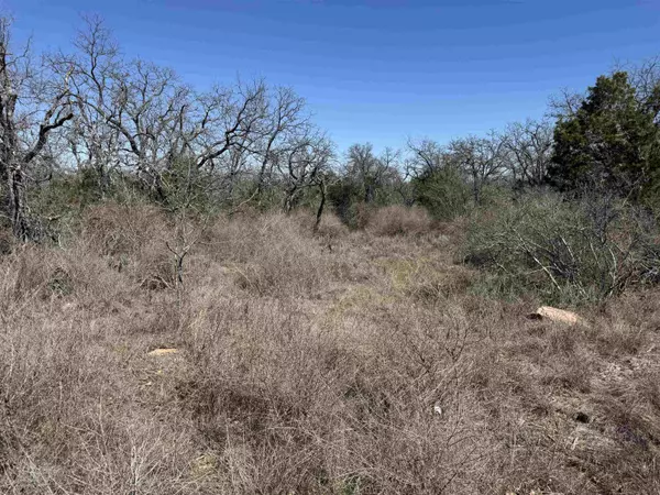 Kingsland, TX 78639,Lot 180 Longmont DR